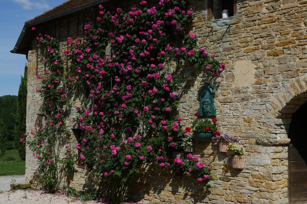 Lasseube Chambres D'Hotes Secret Pyrenees מראה חיצוני תמונה